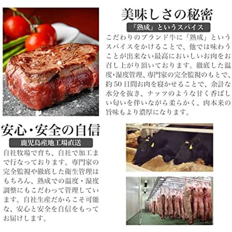 熟成肉と鹿児島県産黒毛和牛の食べ比べセット 熟成モモステーキ 加熱用 100g ｘ6枚 鹿児島県産黒毛和牛 サーロインステーキ 200g ｘ