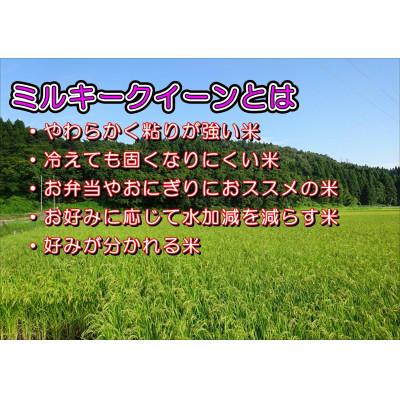 ふるさと納税 新潟県 令和5年産 新潟県長岡産ミルキークイーン10kg(5kg×2袋)