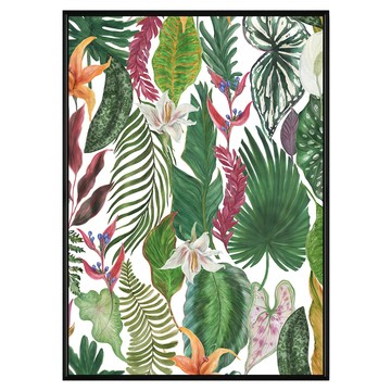 BOLUO GALLERY 菠蘿選畫所 植栽生活 草葉圖集 BFWP4606B  59.4 x 42cm  黑色