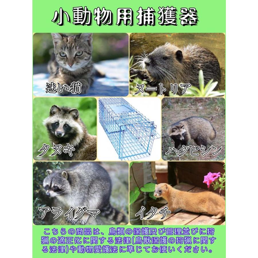 動物捕獲器 アニマルトラップ 踏板式 組み立て 迷子猫 野良猫保護 農作物害獣被害防止 イタチ タヌキ ヌートリア ハクビシン