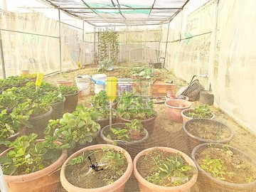 歸仁近高鐵4.6分農地｜台南市歸仁區凱旋段