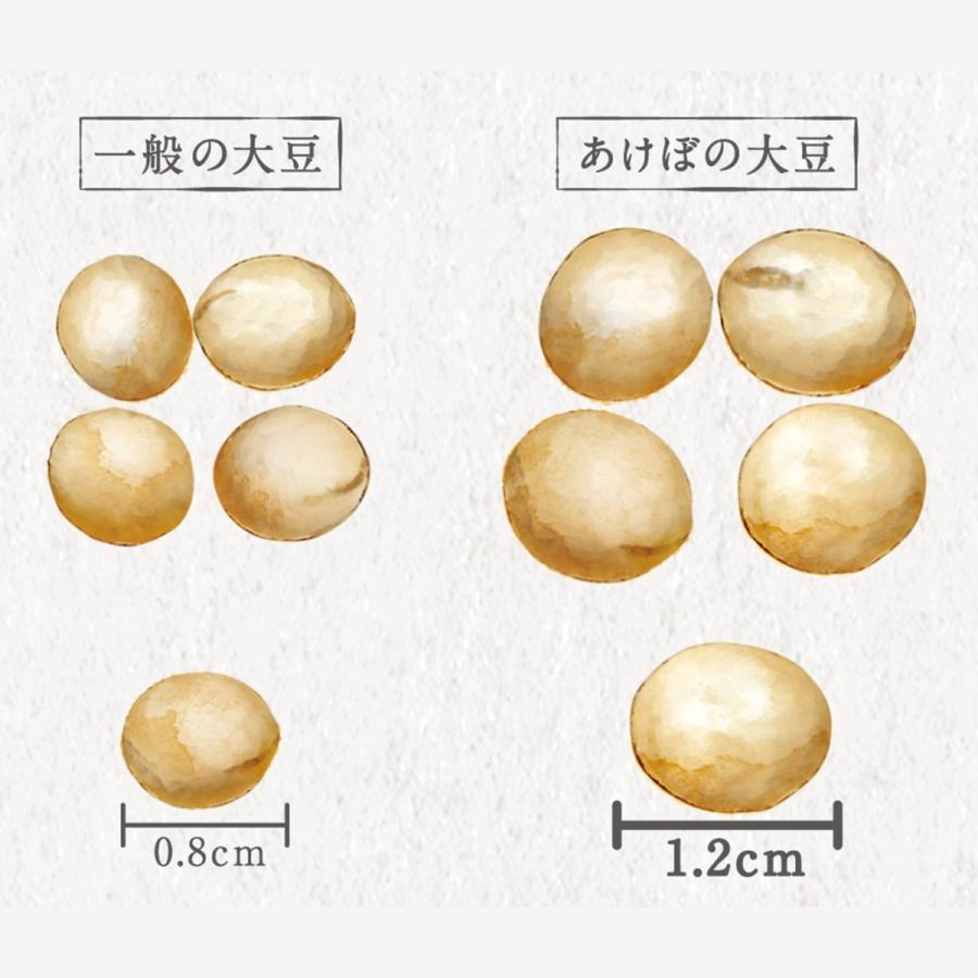 日本一の大豆 あけぼの大豆 極上枝豆ジャンボシュウマイ6個入 グリンピースなし 贈答品 お取り寄せ
