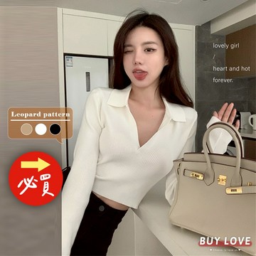 【買到戀愛】隔日到貨 polo領短版長袖上衣 帽T 大學T 毛衣 短版上衣 長袖上衣  女上衣 女裝【FB538】