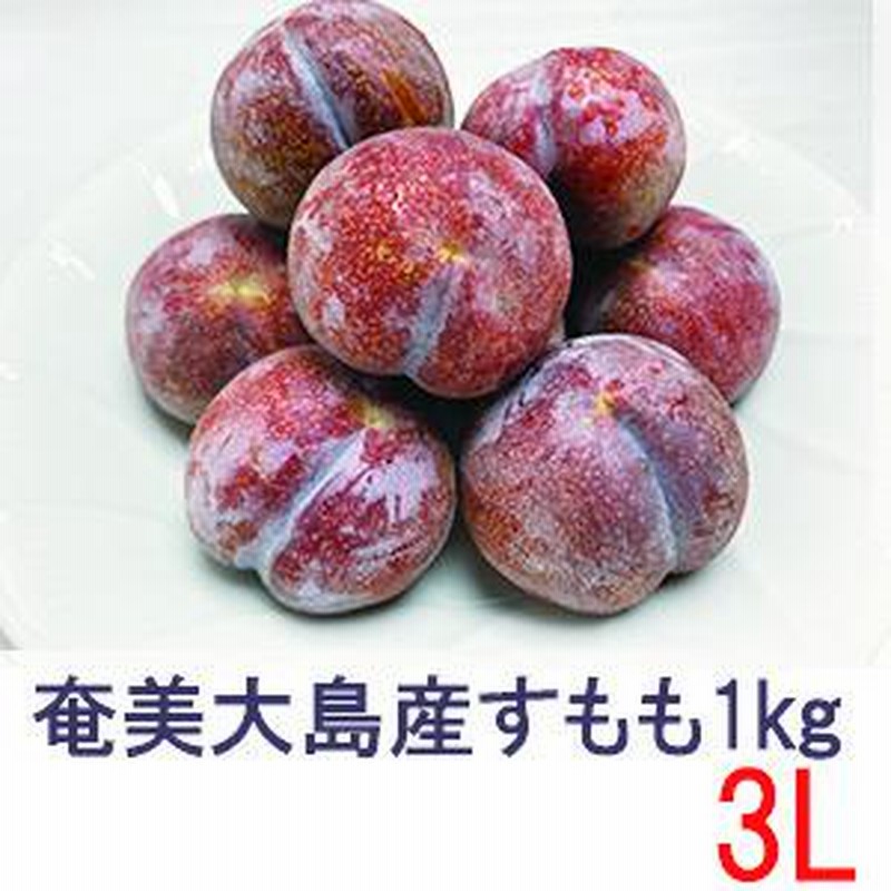 奄美大島産 すもも プラム 約1kg 3Lサイズ 16玉 花螺李（がらり／からり）【送料無料】【北海道、東北、沖縄＋500円】 |  LINEブランドカタログ