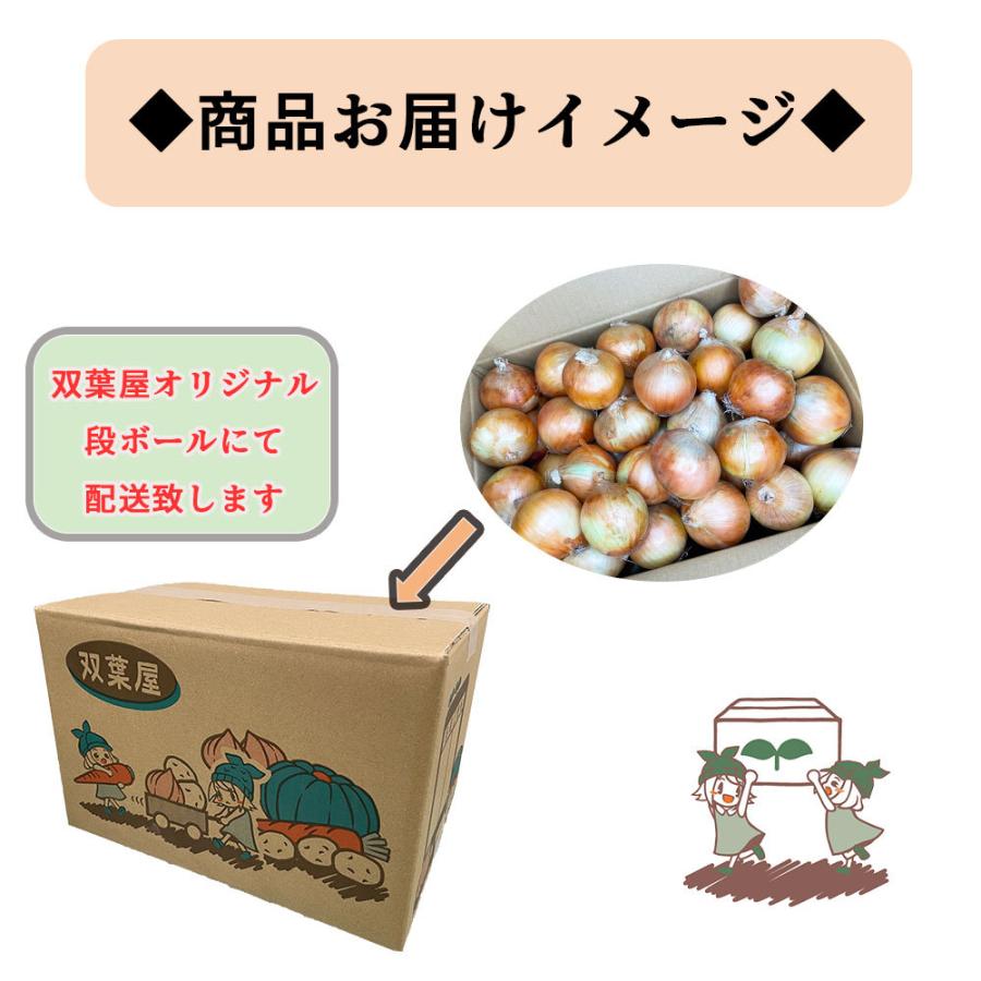 ≪市場から直送!!≫  北海道産 たまねぎ Lサイズ以上 10kg 送料無料 タマネギ 玉葱