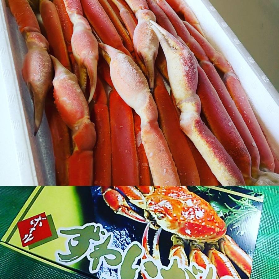 かに カニ ずわいがに ズワイガニ2ｋｇ ボイル 化粧箱 4Ｌサイズ 6肩脚 snow crab