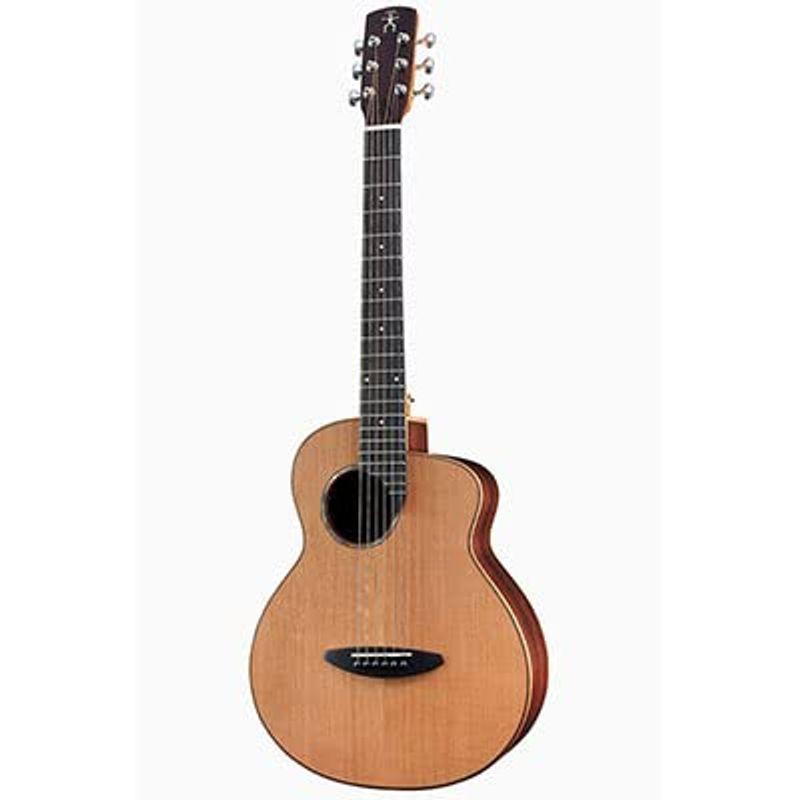 アコースティックギター アヌエヌエ バードギター aNueNue BIRDGUITAR aNN-M60 Acoustic Guitar