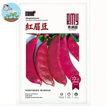 【原廠包裝】台灣紅眉豆種子（Red Eyebrow Beans）有機可發芽 適合盆栽/陽台種植 紅豆替代品 營養食材