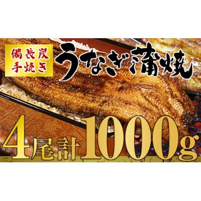 ふるさと納税 鹿屋市 九州産　備長炭手焼　うなぎ蒲焼　4尾(1000g)1746