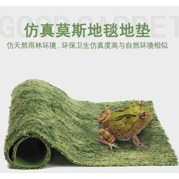 【台灣現貨秒發】莫斯地毯 大尺寸