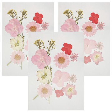 A-ONE 匯旺 真花壓花 小花包 Set  春色宜人  春色宣人