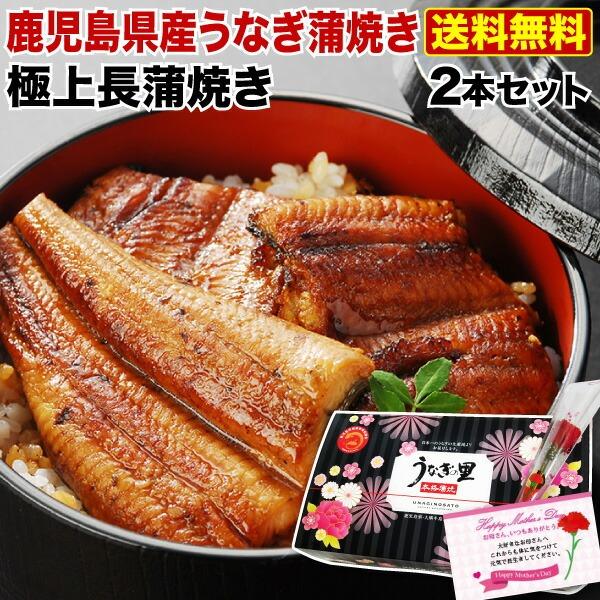 ポイント5倍  母の日 プレゼント 60代 70代 うなぎ 鹿児島産 ブランド鰻 極上長蒲焼き2本 ギフトBOX 魚介類 クール