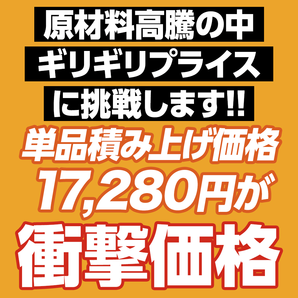 (衝撃の63%OFF 単品合計価格17,280円→6,290円) 松屋 秋の満腹福袋 お試し大ボリュームセット 13種27食  牛丼 牛丼の具 牛めし 福袋