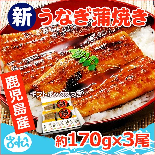 鹿児島産 新 国産 うなぎ蒲焼き 約170g×3尾 送料無料 ギフトボックス付 海鮮 プレゼント グルメ ギフト お取り寄せグルメ