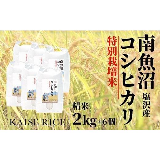 ふるさと納税 新潟県 南魚沼市 南魚沼産塩沢コシヒカリ（特別栽培米８割減農薬）精米２ｋｇ×６個