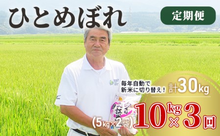 〈定期便〉 ひとめぼれ 白米 10kg（5kg×2袋）×3回 計30kg 3ヶ月 令和5年 精米 土づくり実証米 毎年11月より 新米 出荷