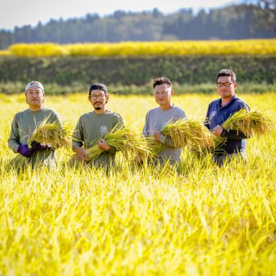 ふるさと納税 津南町 県認証 魚沼津南産新之助 20kg 産地限定!農家直送