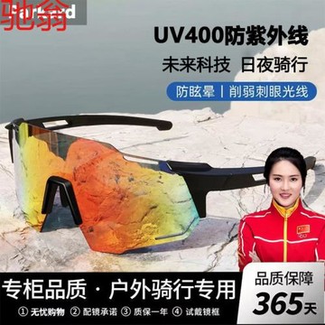 R4EParkard騎行眼鏡炫彩自行車風鏡防風騎行跑步山地車公路車護目