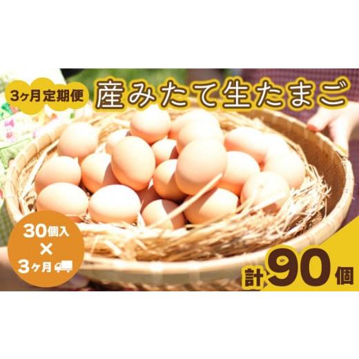 ふるさと納税 山口県 下関市 たまご 卵 定期便 3ヶ月分 30個 × 3ヶ月 計 90個  26個 ＋ 割れ保障 4個 ×3ヶ月分 玉子 産みたて 国産 新鮮 卵かけご飯 大…