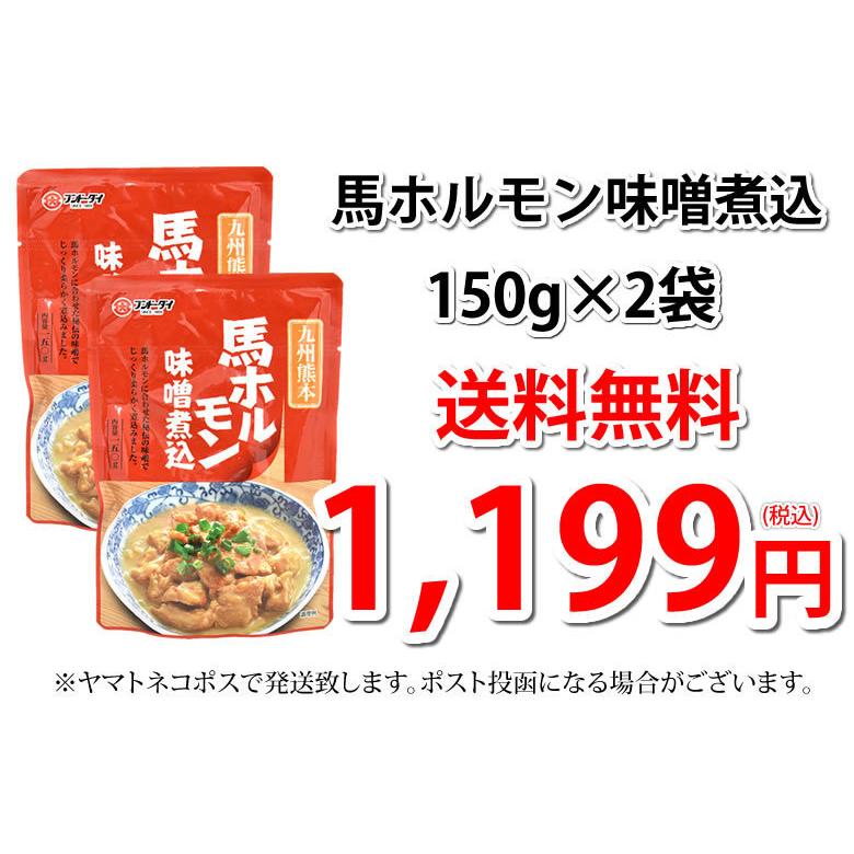 馬ホルモン 味噌煮込み 国産 馬肉 熊本 送料無料 150g×2袋 お取り寄せ おつまみ 馬もつ 大腸 小腸