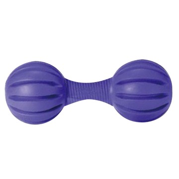 PetSafe 普立爾 狗仔很忙智遊玩具系列 狗仔啞鈴 益智玩具  紫色  1個  M/L