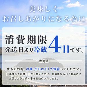 ふるさと納税 牡蠣 生食 坂越かき むき身 500g(サムライオイスター) 生牡蠣 冬牡蠣 兵庫県赤穂市