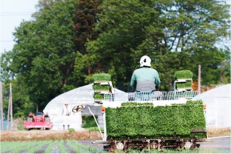 秋田県産 あきたこまち 10kg(10kg×1袋) 新米 令和5年産