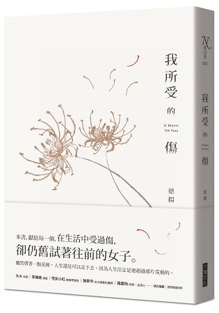 我所受的傷