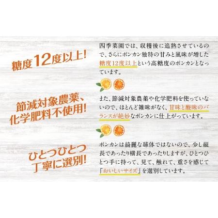 ふるさと納税 濃厚な甘さと風味！くしもとポンカン L〜2Lサイズ 5kg  有機率100%肥料 .. 和歌山県串本町