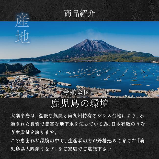 うなぎ かば焼き 5尾 鹿児島県 大隅産 鰻 ウナギ 冷凍 土用丑の日 贈答 贈り物 ギフト お中元 お歳暮 母の日 父の日 敬老の日 送料無料 