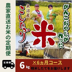 令和５年産新米がんこおやじが作った南魚沼産コシヒカリ白米６kg（３kg×２袋）