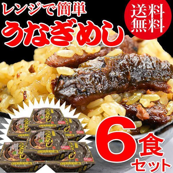 うなぎ 蒲焼き 国産 鰻 グルメ ギフト うなぎめし 6個 送料無料