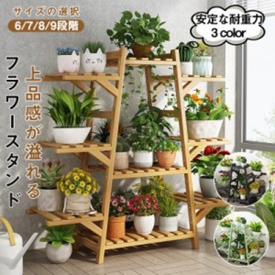 植物棚植木の検索結果 | LINEショッピング