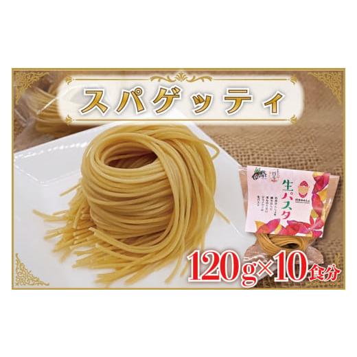 ふるさと納税 茨城県 行方市 CJ-15 生パスタ （スパゲッティ10食分）