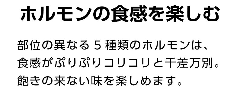 新発売 牛ホルモン 炭火焼 20袋 宮崎県産 国産牛100％ レトルト ミックスホルモン おつまみ お正月 簡単調理 湯せん 常温便