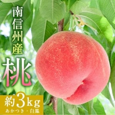 南信州産「桃」約3kg〈あかつき・白鳳〉