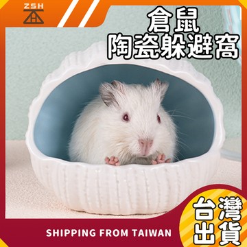 【現貨快速發】倉鼠陶瓷躲避窩 倉鼠陶瓷屋 貝殼倉鼠陶瓷屋 花生倉鼠陶瓷屋 倉鼠降溫窩 倉鼠睡窩 倉鼠消暑窩 陶瓷窩 躲避