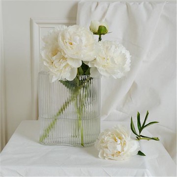 現代簡約水培透明玻璃花瓶 (高款)