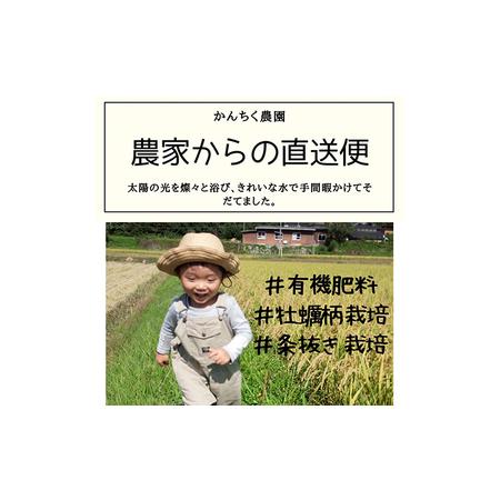 ふるさと納税 お米 コシヒカリ ミルキークイーン 10kg×2袋 食べ比べ 岡山県美咲町産 おこめ 米 国産 岡山県美咲町