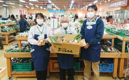 旬鮮野菜・果物セット（12～14品目）