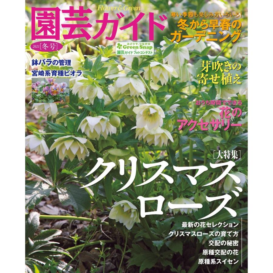 園芸ガイド 2021年冬号 電子書籍版   園芸ガイド編集部