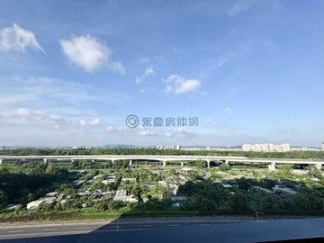 橋頭⭐橋科大極兩房平車永久棟距全新未住｜高雄市橋頭區成功南路