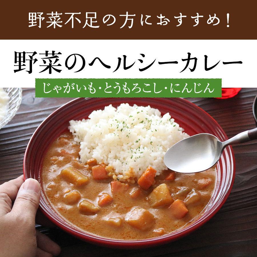 送料無料 野菜のヘルシーカレー 200g×2個 お手軽便