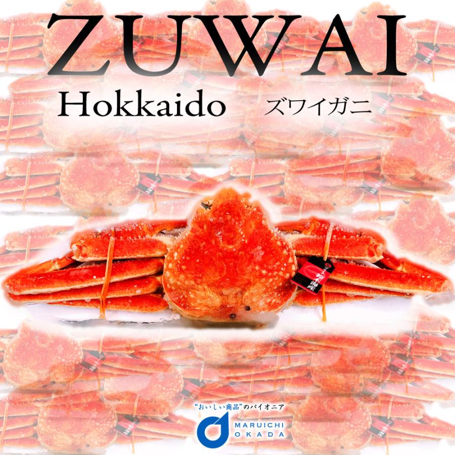 送料無料 ずわいがに 姿 800g前後 北海道 ズワイガニ zuwai ずわい かに ギフト かに鍋 グルメ フードロス 食品ロス お歳暮 御歳暮 クリスマス