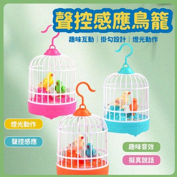 台灣當天發貨🚚 仿真學聲鳥籠 鳥籠 學聲鳥 仿真鳥籠 寵物鳥 兒童玩具 玩具鳥籠 趣味玩具