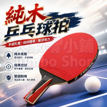 四星乒乓球拍 長柄橫拍 短柄直拍 雙面反膠乒乓球 4星乒乓球拍 桐木球拍 橫拍 直拍 桌球拍 桌球拍套 球拍 開發票