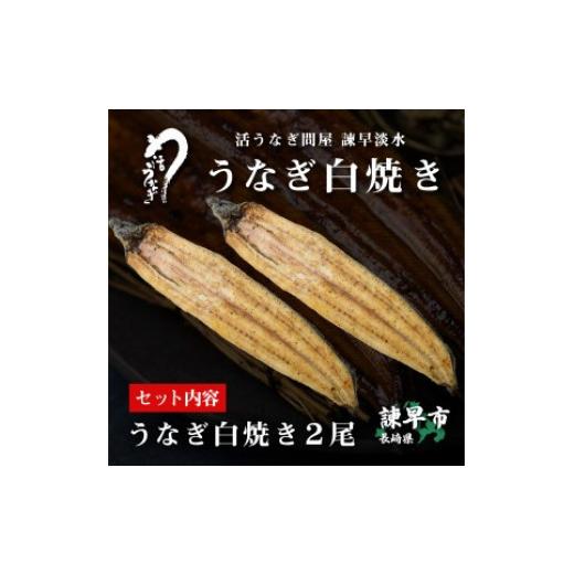 ふるさと納税 長崎県 諫早市 うなぎ白焼き2尾