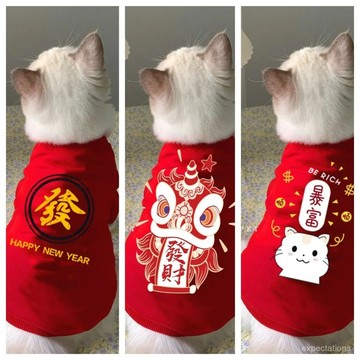 臺灣有貨⚡小貓衣服2024新款冬季加厚加絨喜慶新年裝布偶貓藍貓寵物兩腳冬裝 A6JS