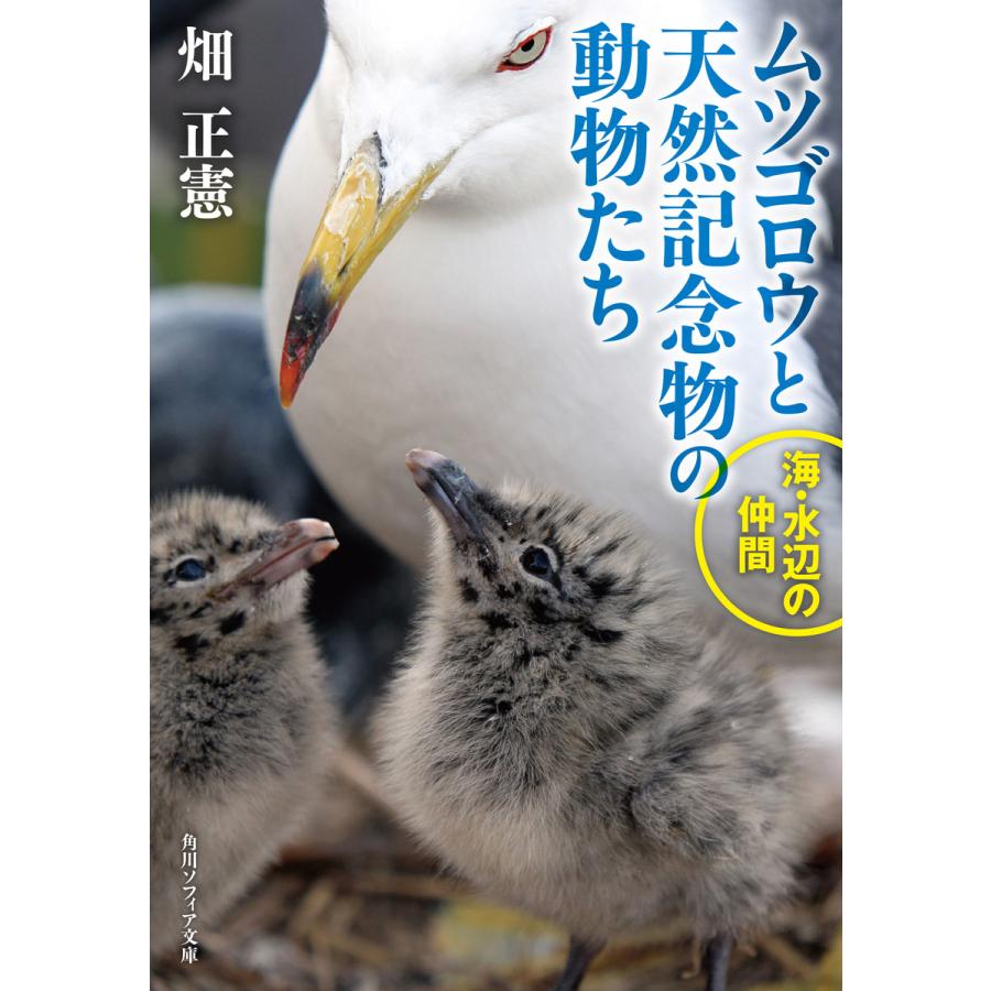 ムツゴロウと天然記念物の動物たち 海・水辺の仲間 電子書籍版   著者:畑正憲