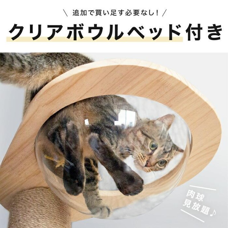 期間限定価格】 【天然素材タワー】つっぱり式 キャットタワー